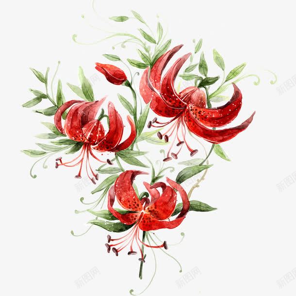 鲜花抓告诉你png免抠素材_新图网 https://ixintu.com 矢量装饰 红色的花 花朵 装饰 鲜花