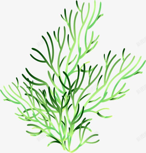 手绘海底水草植物图标png_新图网 https://ixintu.com 图标 彩绘 手绘 手绘植物 手绘海底水草植物 插画 植物