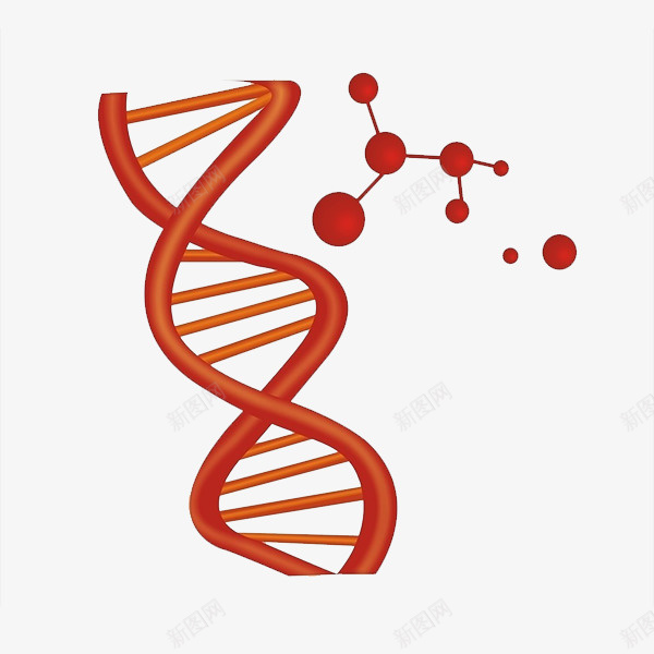 DNA分子链psd免抠素材_新图网 https://ixintu.com DNA DNA双螺旋结构图片 分子链 细胞