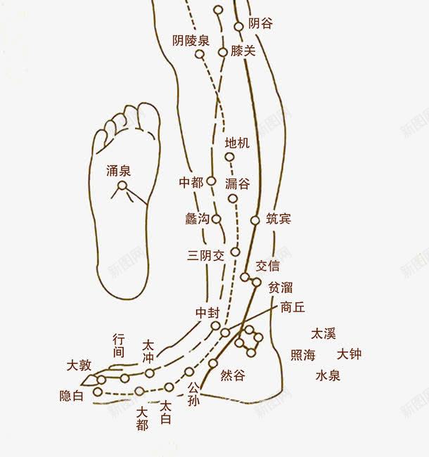 中医足疗宣传手册png免抠素材_新图网 https://ixintu.com 中医 宣传 手册