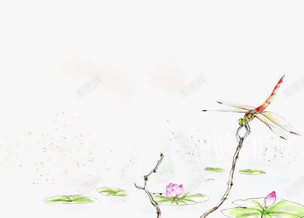 蜻蜓插画png免抠素材_新图网 https://ixintu.com 手绘画 浮萍 湖面 芦苇丛 荷花