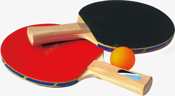 乒乓球拍png免抠素材_新图网 https://ixintu.com 乒乓球 乒乓球拍 运动