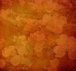棕黄暖花朵棕黄色花朵背景高清图片