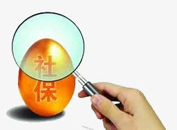 社保查询小图标图标
