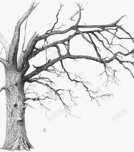 枯树png免抠素材_新图网 https://ixintu.com 凄凉 创意大树 干枯的 干枯的大树 手绘大树 树枝