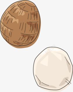 棕色圆形芋头简图高清图片