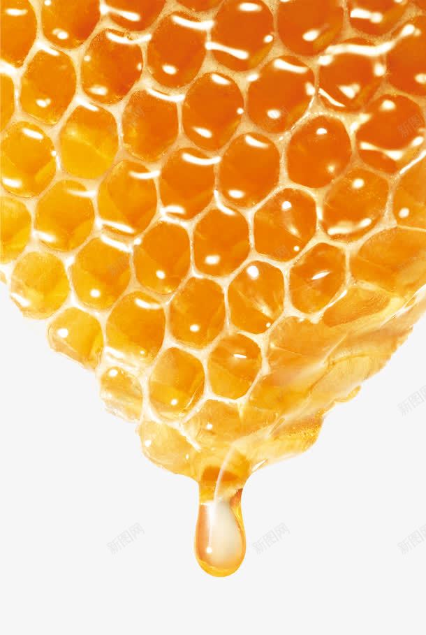 美味的蜂蜜png免抠素材_新图网 https://ixintu.com 丰收 蜂蜜 蜜蜂 黄色