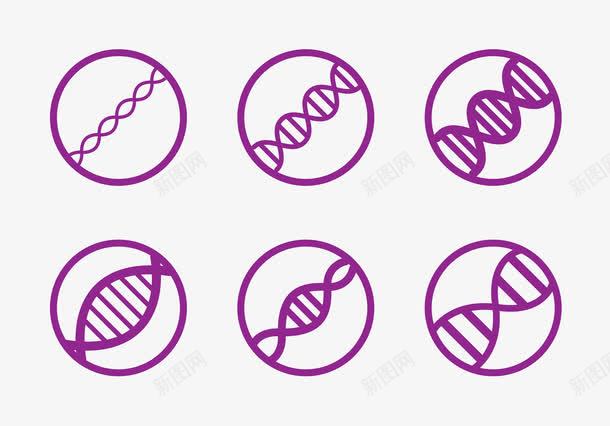 DNA链图标合集png_新图网 https://ixintu.com DNA 图标 生物学 科学 紫色 脱氧核糖核酸 螺旋 螺旋线 遗传学