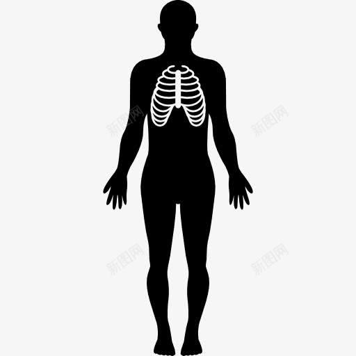 人体剪影与专注于呼吸系统图标png_新图网 https://ixintu.com 人体 人体轮廓 人的轮廓图 医学 呼吸系统 肺