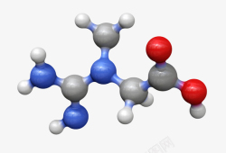 红色分子蓝红色营养补充分子模型肌酸分子高清图片