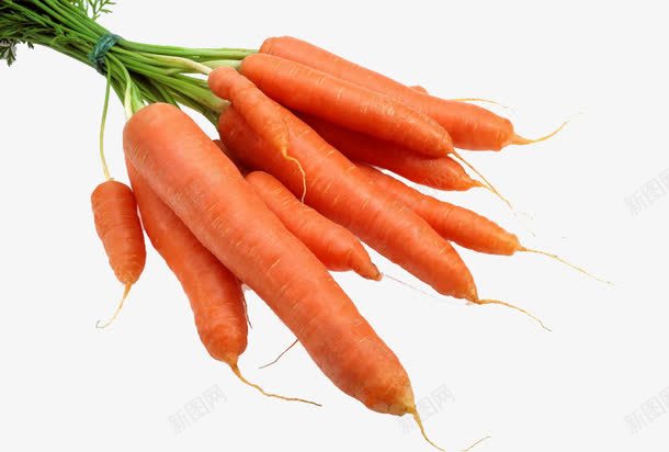 一堆胡萝卜png免抠素材_新图网 https://ixintu.com 便宜的胡萝卜 大大小小的胡萝卜 红萝卜 萝卜