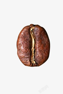 褐色咖啡豆一颗咖啡豆高清图片