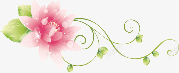 靓丽的花朵png免抠素材_新图网 https://ixintu.com 粉色 绿色 花带 花朵