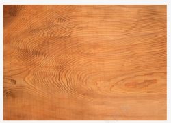 大树年轮树的年轮木板高清图片