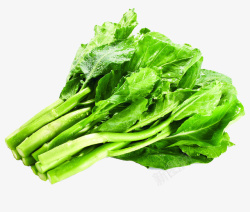 脆嫩绿色蔬菜芥兰高清图片