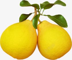 元素钾两个柚子高清图片