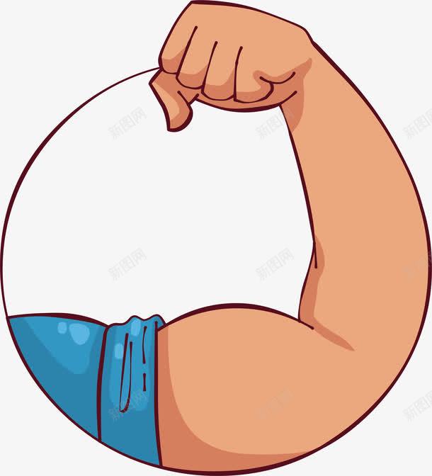 强壮的肱二头肌png免抠素材_新图网 https://ixintu.com 健身教练 强壮 强壮的身体 手臂肌肉 矢量png 肌肉