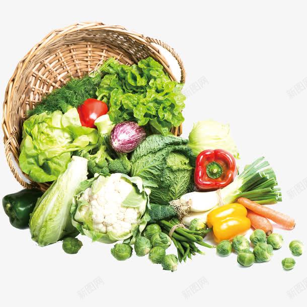 有机蔬菜png免抠素材_新图网 https://ixintu.com 圆白菜 彩椒 洋葱 胡萝卜 菜类图片 菜花 蔬菜