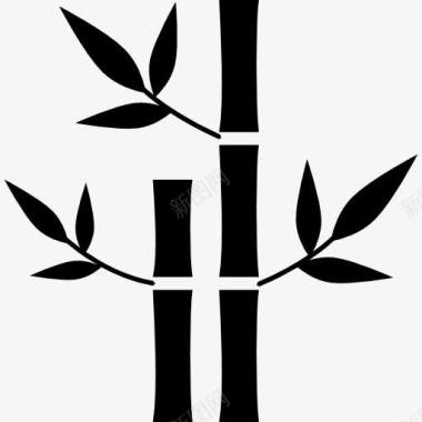 竹类植物SPA图标图标