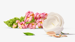 白色化妆品白花与粉色花高清图片