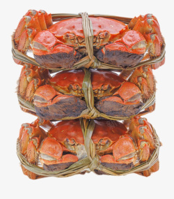 蟹扣红色美味的食物清蒸大闸蟹实物高清图片