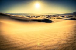 饥渴日光沙漠干涸饥渴高清图片