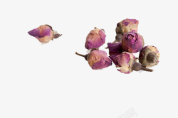四季养生图片玫瑰花茶的养生之法高清图片