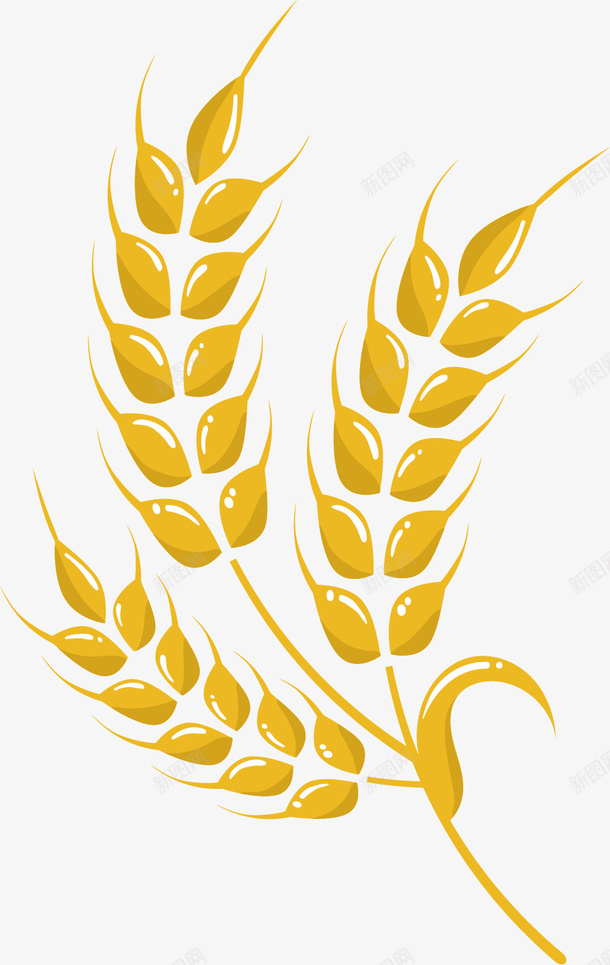 金黄色的大麦矢量图ai免抠素材_新图网 https://ixintu.com 农作物 大麦 手绘 粮食 设计 金黄色 矢量图