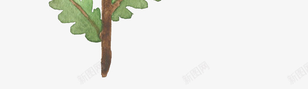 水彩树梢png免抠素材_新图网 https://ixintu.com 叶子 树叶 植物 水彩植物 绿色
