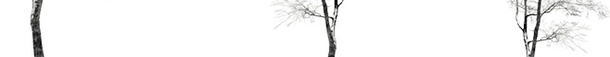 诗与黑白画的结合png免抠素材_新图网 https://ixintu.com 树 结合图 诗句 黑白画