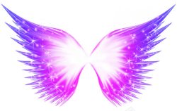 紫光抽象蝴蝶发光效果高清图片