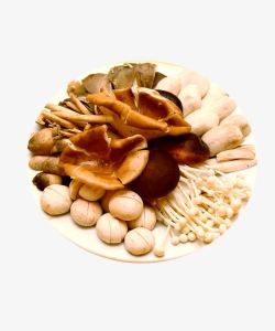 蘑菇菌类拼盘摄影素材