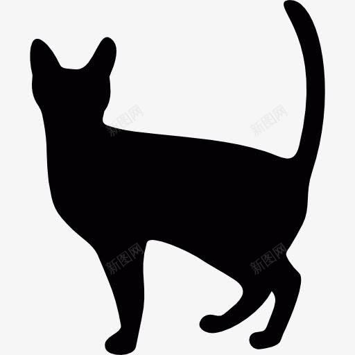 女巫的猫图标png_新图网 https://ixintu.com 动物 宠物 小猫 恐怖