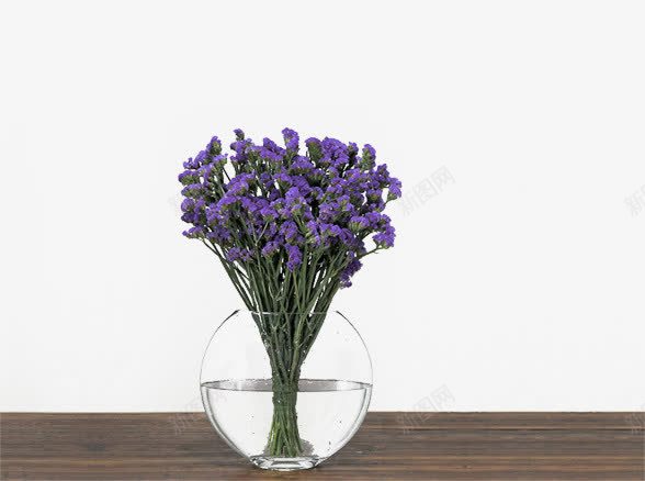 桌子上的鲜花片png免抠素材_新图网 https://ixintu.com 勿忘我花 星辰花 漂亮的花朵 紫色的花朵 花瓶图片 装饰图片