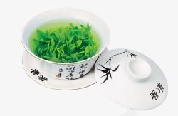 绿色茶叶泡的盖碗茶素材