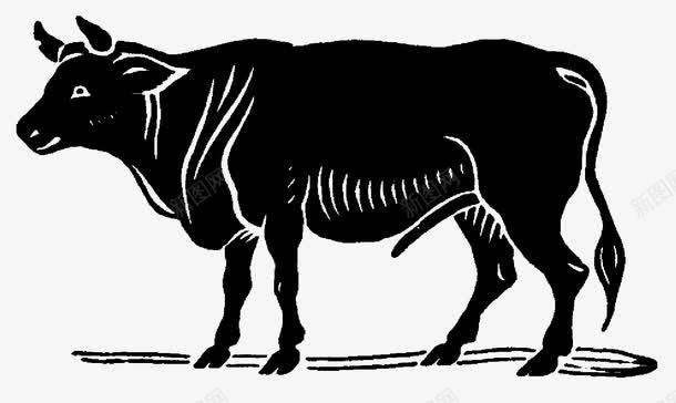 牛png免抠素材_新图网 https://ixintu.com 剪影 动物 家畜 有角的动物 水牛 牛 牛形状