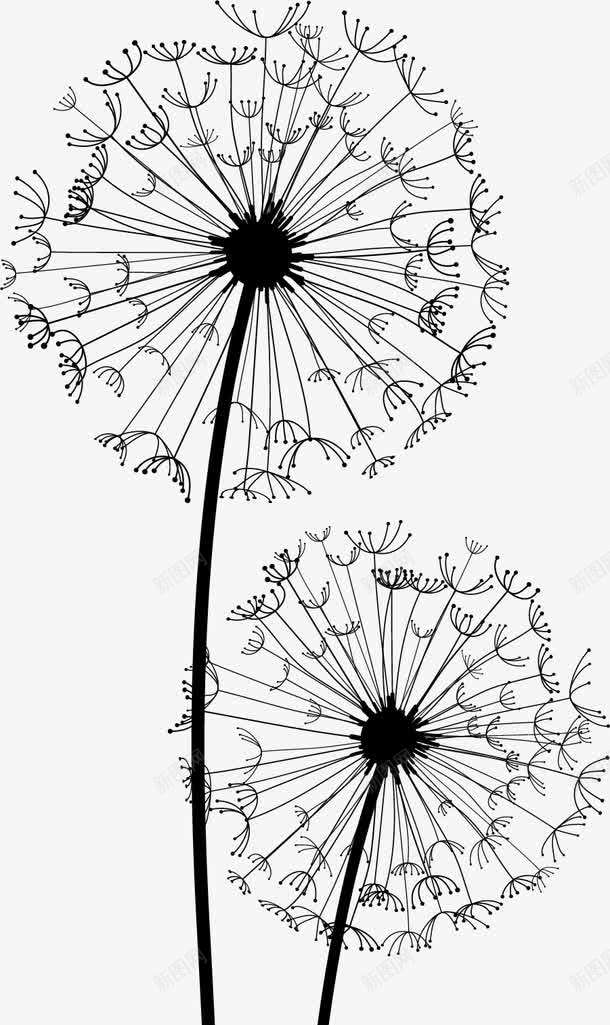 蒲公英植物装饰图案png免抠素材_新图网 https://ixintu.com 免抠PNG 插图 未来 梦想 植物 蒲公英 蒲公英图 远方 黑色
