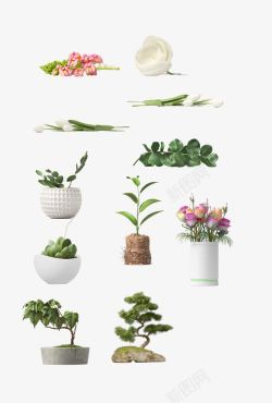 枯萎的盆栽卡通植被花盆高清图片