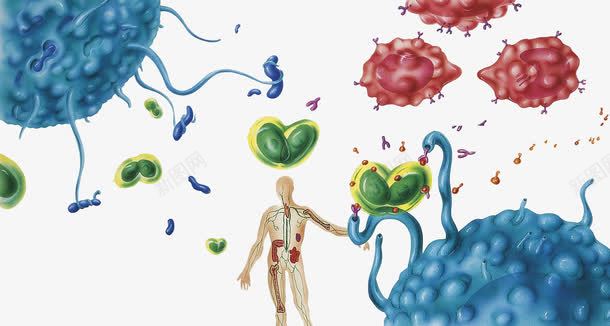 抗体蛋白质png免抠素材_新图网 https://ixintu.com 人体免疫系统 医疗 抗体 抗体蛋白质 蛋白质结构