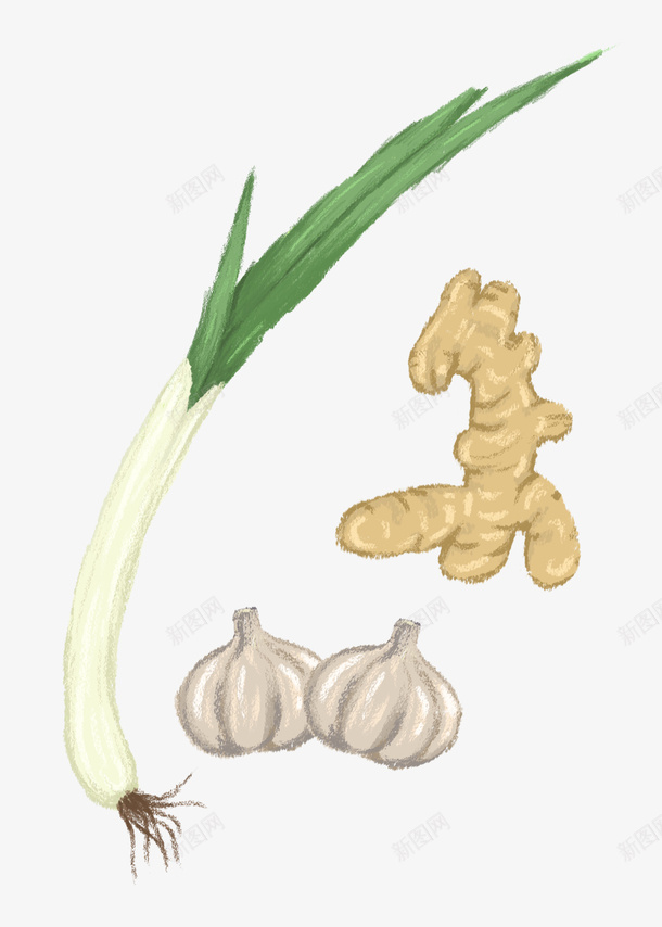 手绘的葱姜蒜png免抠素材_新图网 https://ixintu.com 卡通 手绘 蔬菜 蔬菜Q版 调料