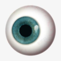 眼球PNG矢量图眼睛高清图片