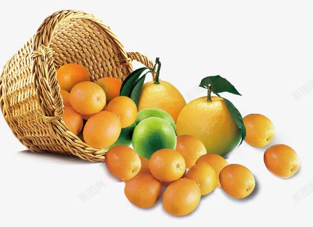 png免抠素材_新图网 https://ixintu.com 橘子 篮子 翻倒在地的橘子
