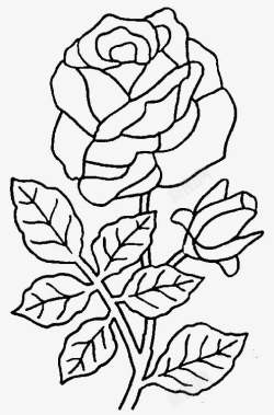 绸缎带黑白盛开的玫瑰花简笔画高清图片