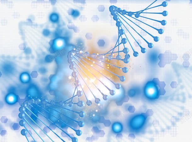 生物基因链png免抠素材_新图网 https://ixintu.com 基因 基因组合 基因链 生物基因 生物链