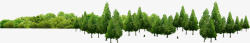 绿色小树林小树林树木高清图片