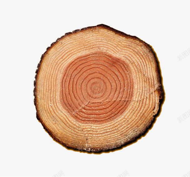 树的年轮png免抠素材_新图网 https://ixintu.com 保护树木 年轮 树的年龄 砍伐