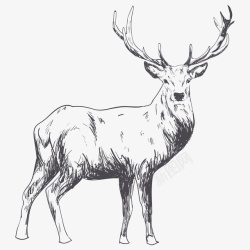 手绘羚羊卡通手绘一只羚羊高清图片