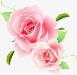 玫瑰叶粉红玫瑰高清图片