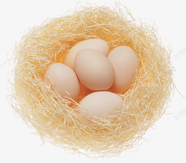鸡蛋png免抠素材_新图网 https://ixintu.com 一筐蛋 简洁鸡生蛋 蛋 鸟巢 鸟巢图 鸡蛋