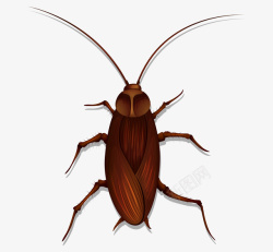 清新虫子卡通可爱小动物装饰动物头像蟑螂高清图片